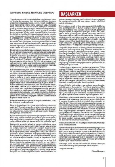 MAVİ GÖK SAYI: 18 KÜLTÜR - SANAT - EDEBİYAT DERGİSİ