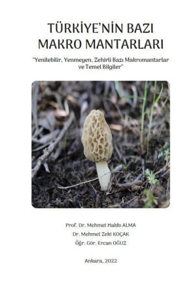 TÜRKİYE'NİN BAZI MAKRO MANTARLARI 