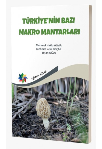 TÜRKİYE'NİN BAZI MAKRO MANTARLARI 