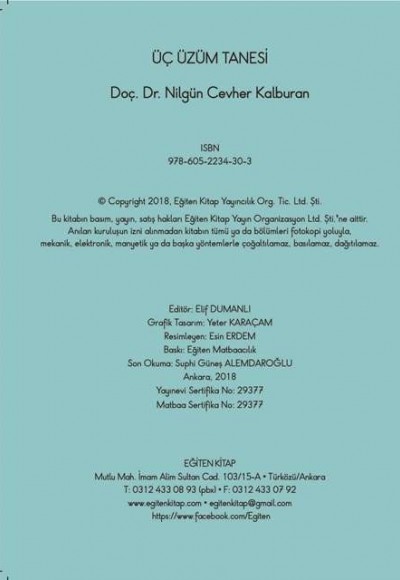 ÜÇ ÜZÜM TANESİ - Nilgün Cevher Kalburan